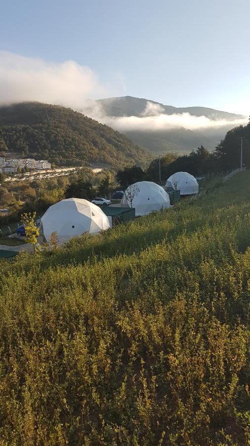 Готель Dengekoru Wildlife & Glamping Mudurnu Екстер'єр фото
