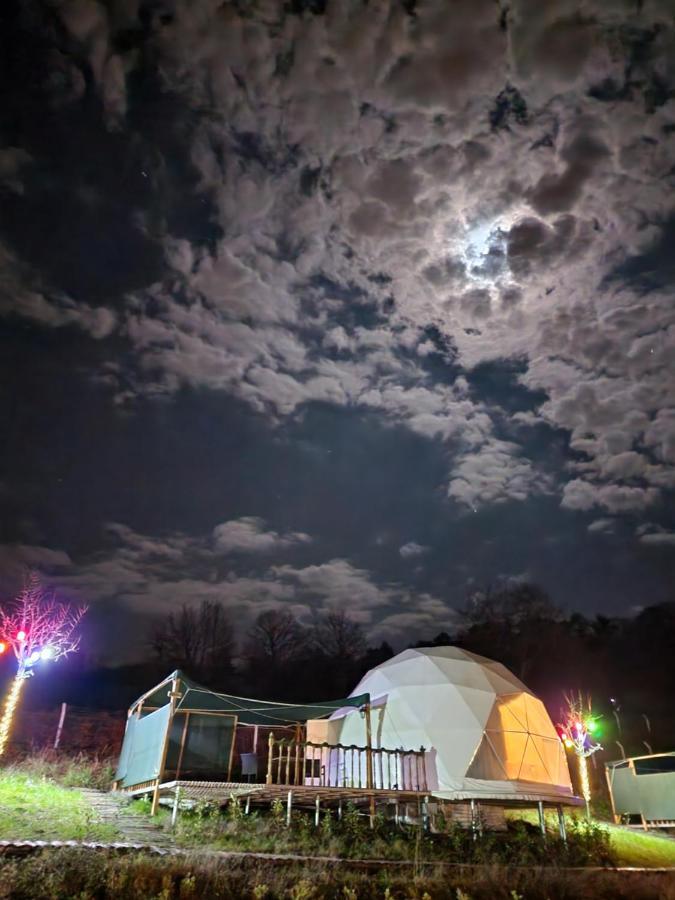 Готель Dengekoru Wildlife & Glamping Mudurnu Екстер'єр фото